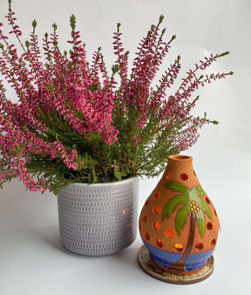 462647986 1116396290208422 7454180023384221602 n