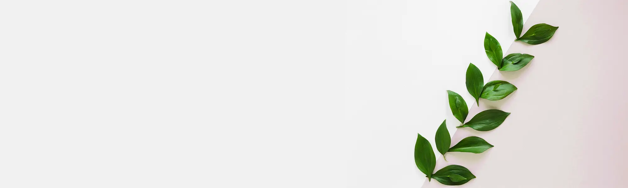 autorski proces tworzenia