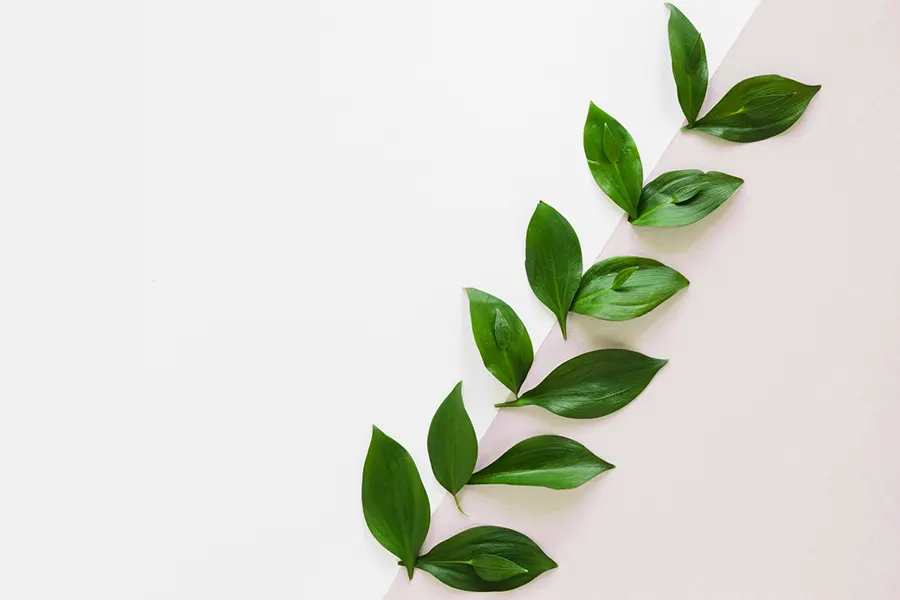 mobile autorski proces tworzenia